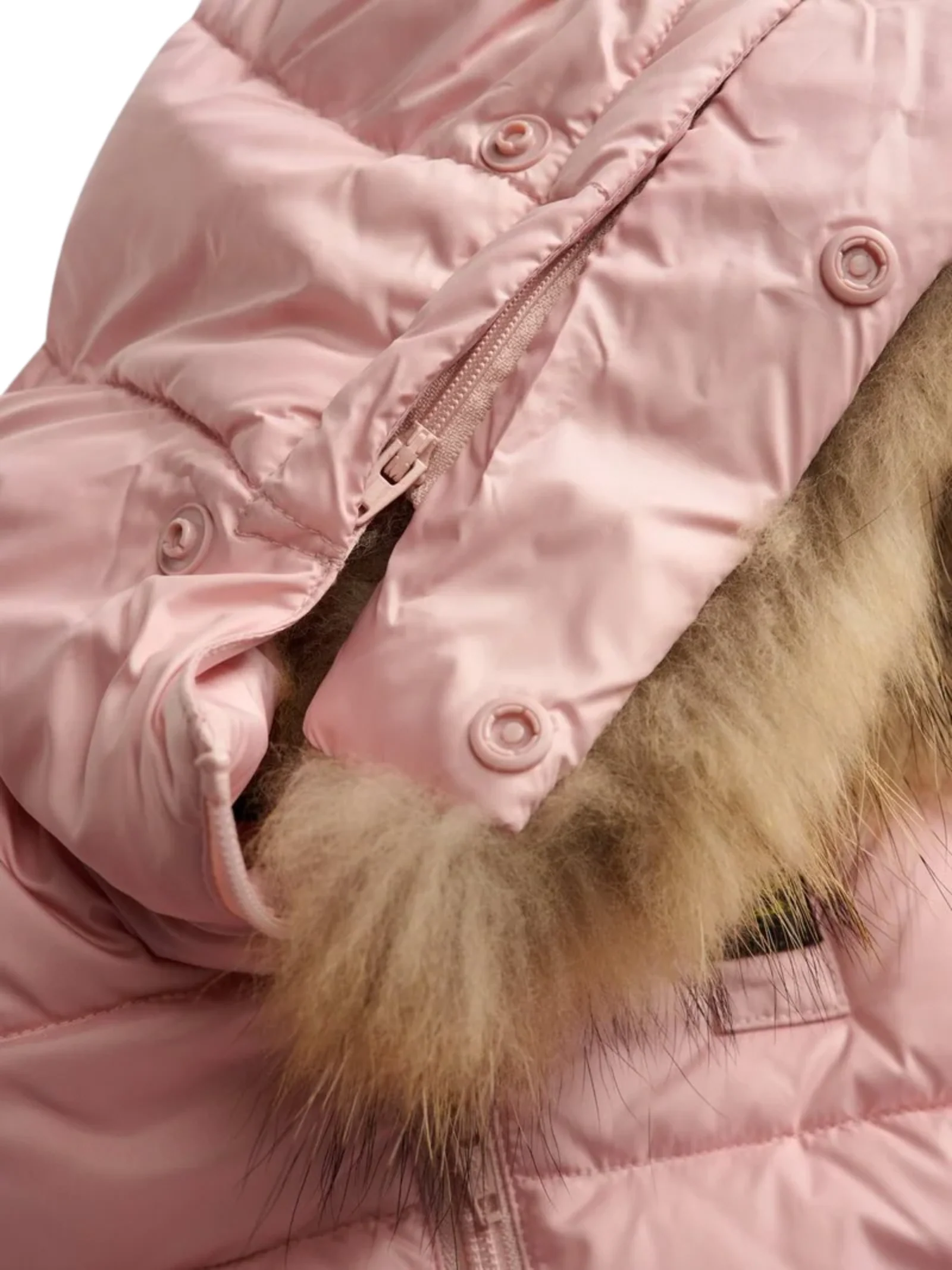 Giubbino "Armory baby" Blauer rosa - Image 2