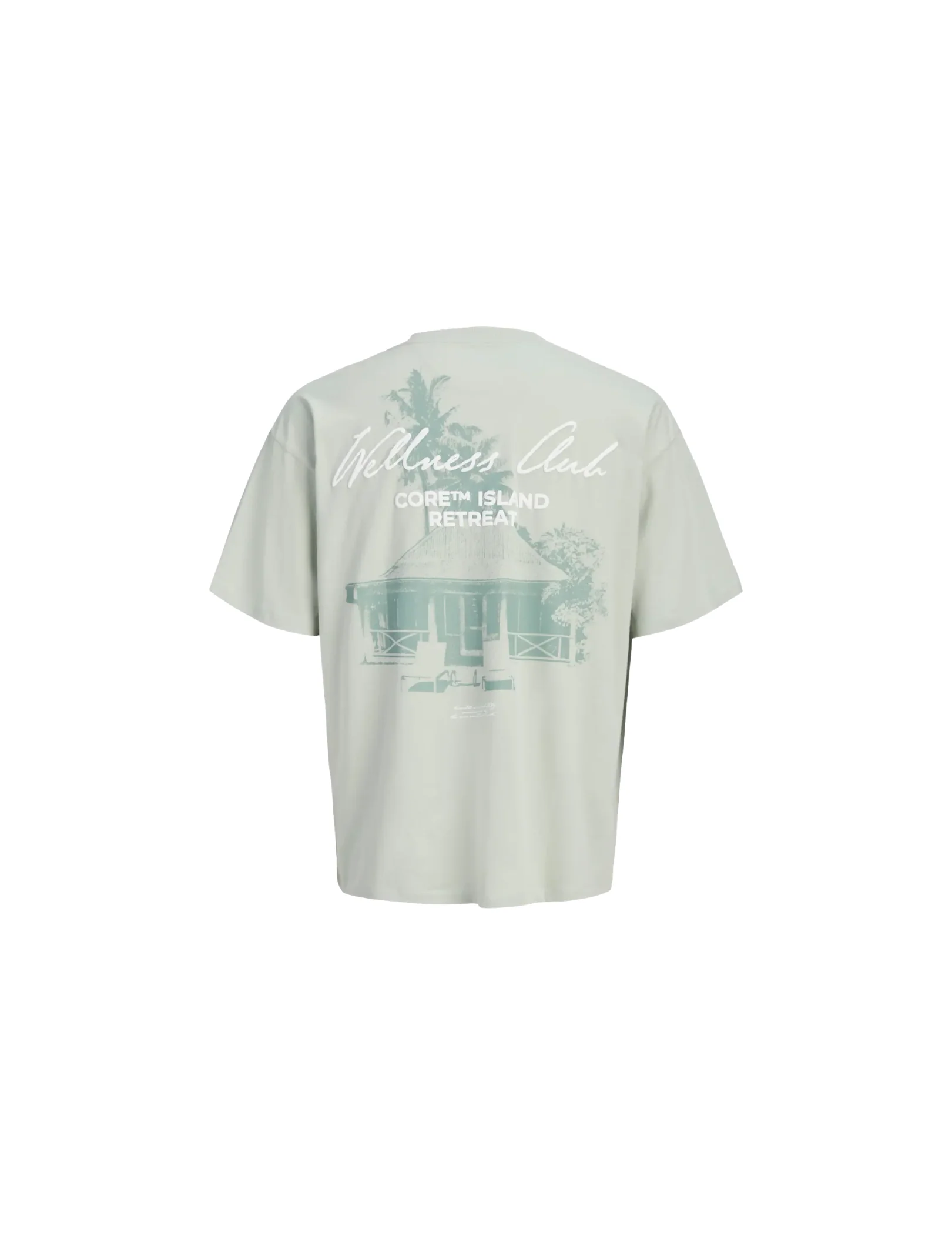 T-Shirt Jack & Jones verde acqua con grafica posteriore - Image 2